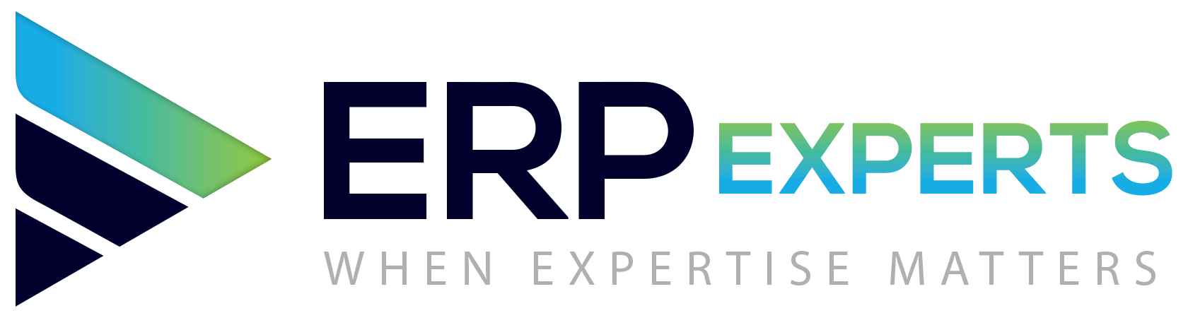 ERP experts